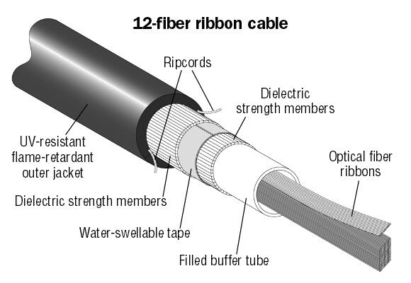 Structure of 12-Fiber Ribbon Cable