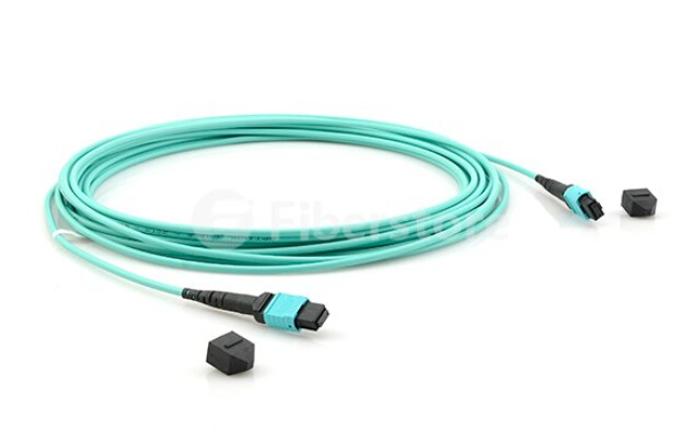 MPO trunk cables
