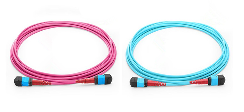 24 fiber MTP/MPO trunk cables