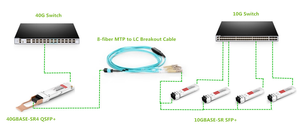 8 fiber MTP-LC breakout cable in 10G/40G migration