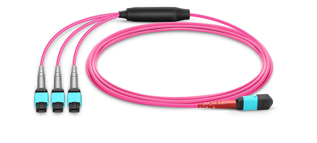 MTP conversion cable